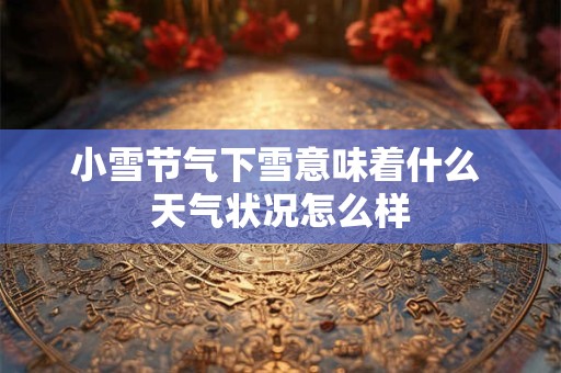 小雪节气下雪意味着什么 天气状况怎么样