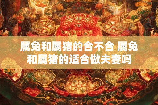属兔和属猪的合不合 属兔和属猪的适合做夫妻吗 属兔和属猪的合不合 属兔和属猪的适合做夫妻吗