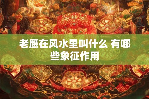 老鹰在风水里叫什么 有哪些象征作用
