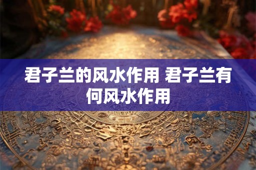 君子兰的风水作用 君子兰有何风水作用