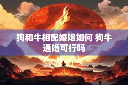 狗和牛相配婚姻如何 狗牛通婚可行吗