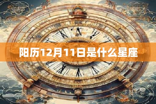 阳历12月11日是什么星座