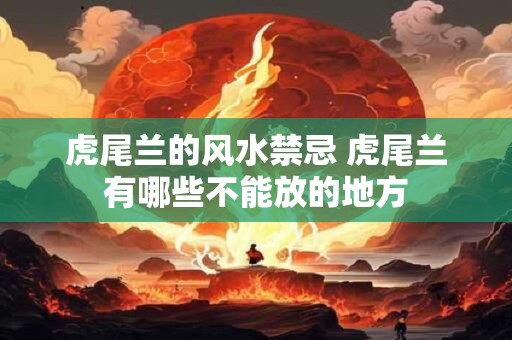 虎尾兰的风水禁忌 虎尾兰有哪些不能放的地方