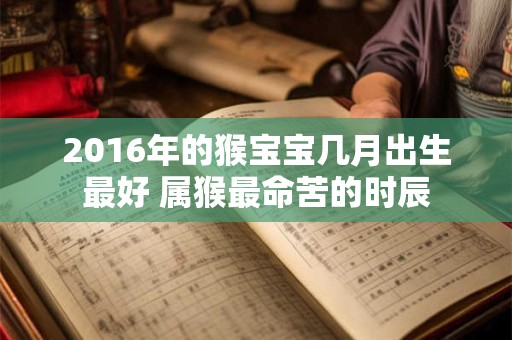 2016年的猴宝宝几月出生最好 属猴最命苦的时辰