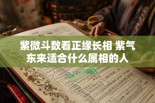 紫微斗数看正缘长相 紫气东来适合什么属相的人