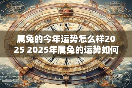属兔的今年运势怎么样2025 2025年属兔的运势如何