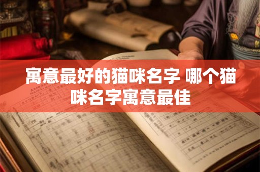 寓意最好的猫咪名字 哪个猫咪名字寓意最佳