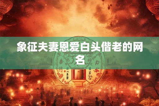 象征夫妻恩爱白头偕老的网名