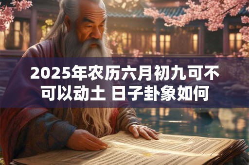 2025年农历六月初九可不可以动土 日子卦象如何