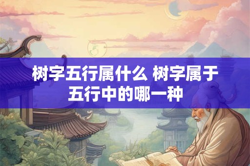 树字五行属什么 树字属于五行中的哪一种