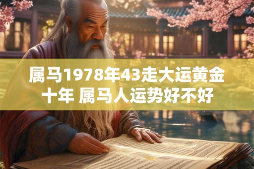 属马1978年43走大运黄金十年 属马人运势好不好