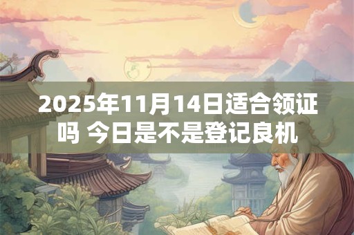 2025年11月14日适合领证吗 今日是不是登记良机