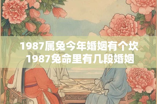 1987属兔今年婚姻有个坎 1987兔命里有几段婚姻