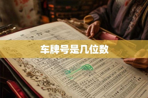 车牌号是几位数