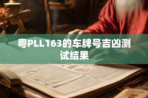 粤PLL163的车牌号吉凶测试结果