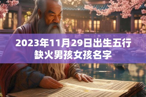 2023年11月29日出生五行缺火男孩女孩名字
