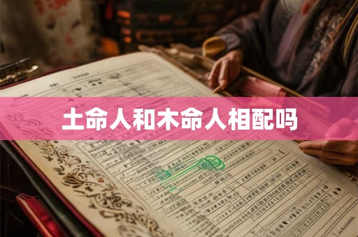 土命人和木命人相配吗