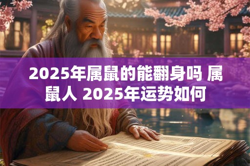 2025年属鼠的能翻身吗 属鼠人 2025年运势如何