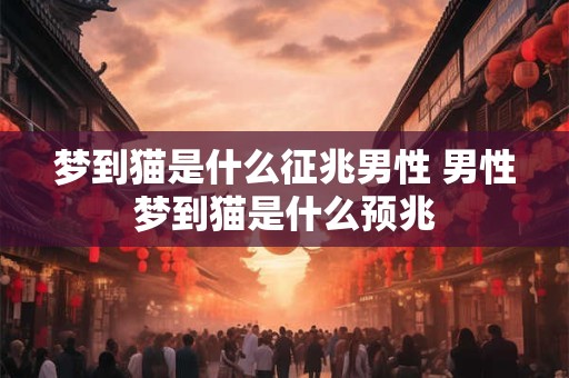 梦到猫是什么征兆男性 男性梦到猫是什么预兆