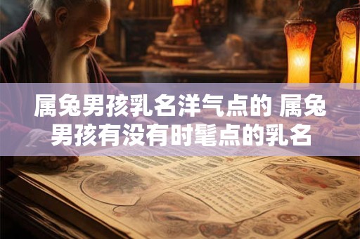 属兔男孩乳名洋气点的 属兔男孩有没有时髦点的乳名