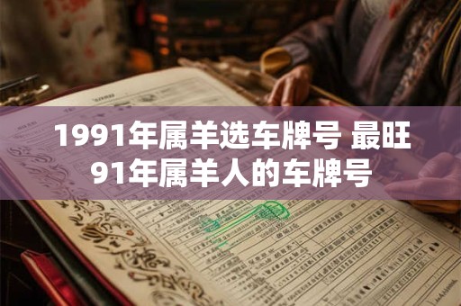 1991年属羊选车牌号 最旺91年属羊人的车牌号
