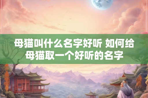 母猫叫什么名字好听 如何给母猫取一个好听的名字