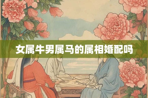 女属牛男属马的属相婚配吗