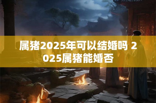 属猪2025年可以结婚吗 2025属猪能婚否