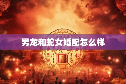 男龙和蛇女婚配怎么样