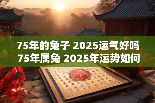 75年的兔子 2025运气好吗 75年属兔 2025年运势如何