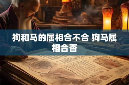 狗和马的属相合不合 狗马属相合否