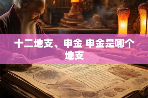 十二地支、申金 申金是哪个地支