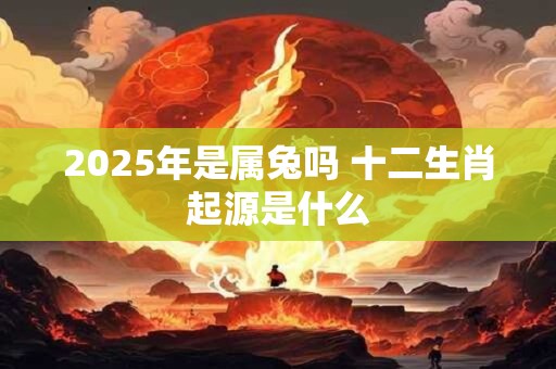 2025年是属兔吗 十二生肖起源是什么
