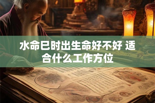 水命巳时出生命好不好 适合什么工作方位