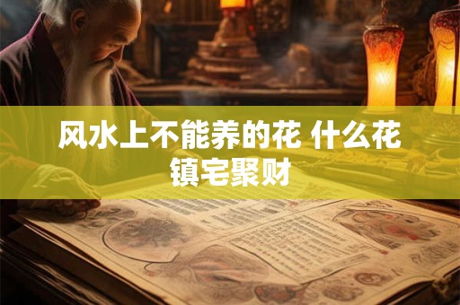 风水上不能养的花 什么花镇宅聚财