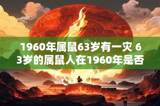 1960年属鼠63岁有一灾 63岁的属鼠人在1960年是否遭遇了灾难