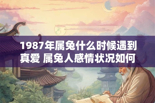 1987年属兔什么时候遇到真爱 属兔人感情状况如何