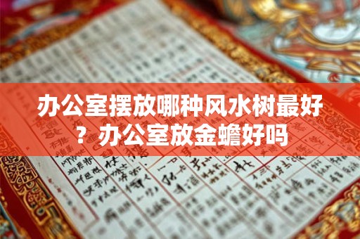 办公室摆放哪种风水树最好？办公室放金蟾好吗
