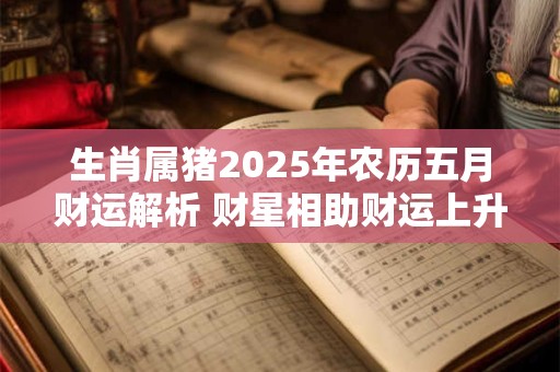生肖属猪2025年农历五月财运解析 财星相助财运上升