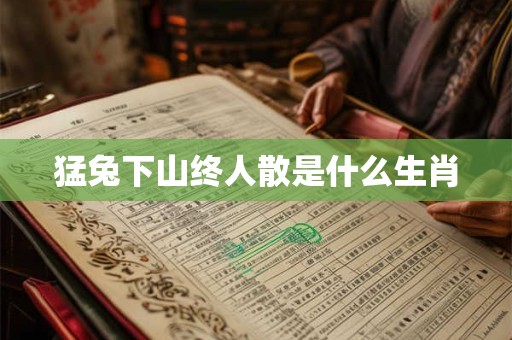 猛兔下山终人散是什么生肖