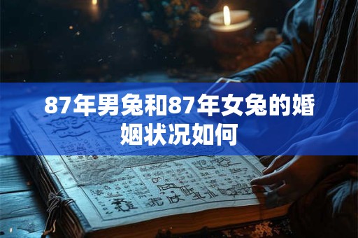 87年男兔和87年女兔的婚姻状况如何