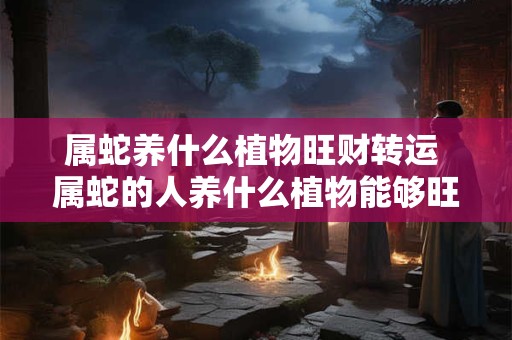 属蛇养什么植物旺财转运 属蛇的人养什么植物能够旺财转运 属蛇养什么植物旺财转运 属蛇的人养什么植物能够旺财转运