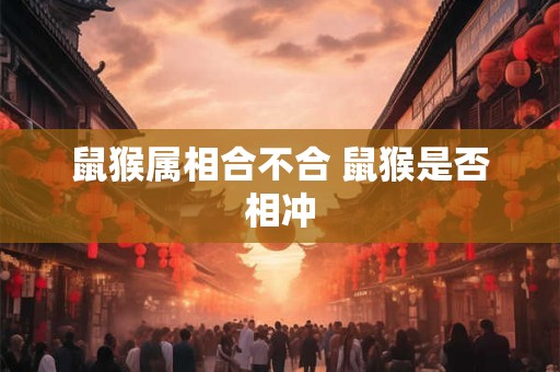 鼠猴属相合不合 鼠猴是否相冲