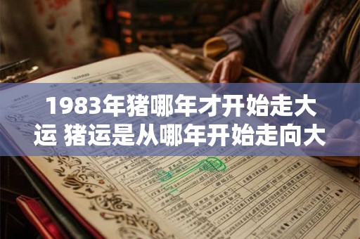 1983年猪哪年才开始走大运 猪运是从哪年开始走向大吉大利的