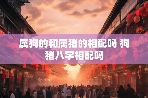 属狗的和属猪的相配吗 狗猪八字相配吗