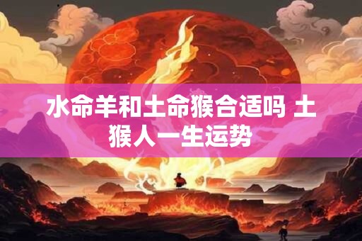水命羊和土命猴合适吗 土猴人一生运势
