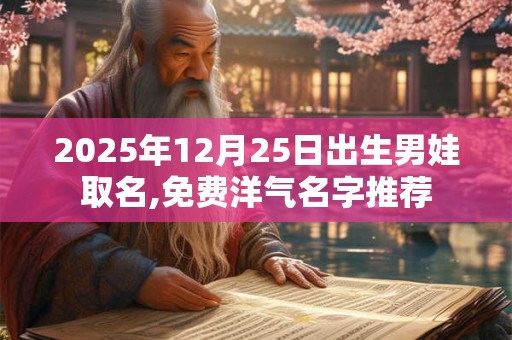 2025年12月25日出生男娃取名,免费洋气名字推荐