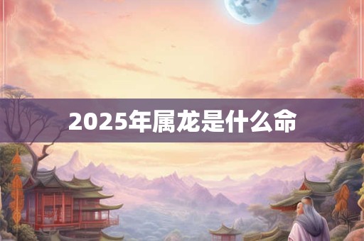 2025年属龙是什么命