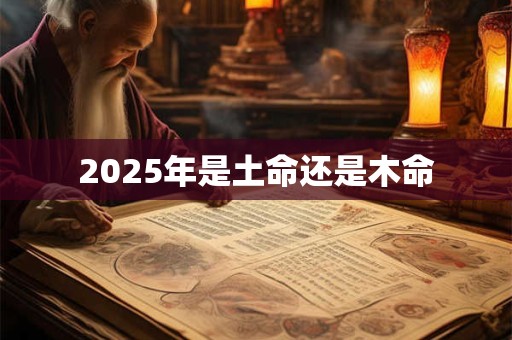 2025年是土命还是木命