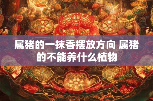 属猪的一抹香摆放方向 属猪的不能养什么植物